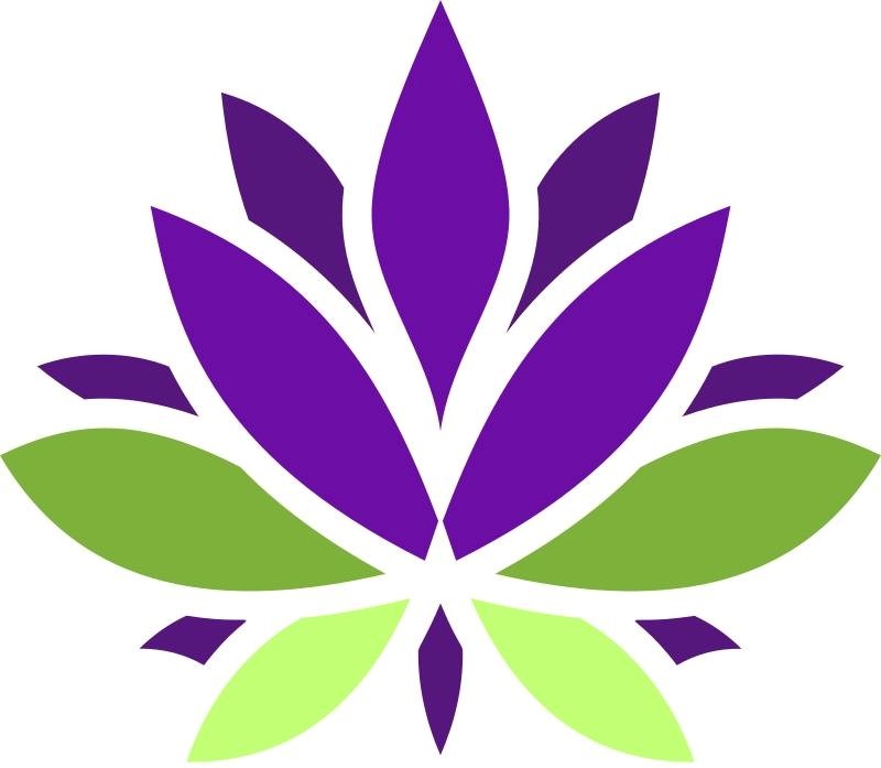 Purple Light Midlife Ltd logo